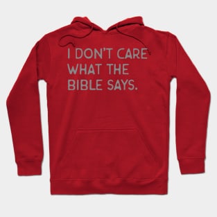 I don't care what the bible says. Hoodie